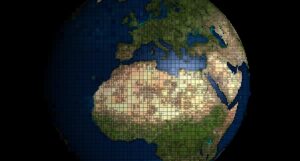 International Moves - Ants Removals